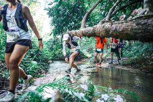 BIB: 
                            <button type="button" onclick="openModal(25441613)" class="btn btn-primary btn-sm float-right btn-popup" data-toggle="modal" data-target=".modal-high-quality">
                        <i class="fas fa-shopping-cart"></i> Add to Cart
                    </button>
                                            <button type="button" onclick="isThisMe(25441613, true)" class="btn btn-success btn-sm float-right btn-popup btn-isme hidden" data-toggle="tooltip" data-placement="bottom" title="นี่คือรูปของคุณใช่ไหม คลิกที่นี่เพื่อเอาเข้าอัลบั้ม">
                        <i class="fas fa-plus"></i> Add to album
                    </button>
                    <button type="button" onclick="isThisMe(25441613, false)" class="btn btn-warning btn-sm float-right btn-popup btn-isnotme hidden">
                        <i class="fas fa-ban"></i> Remove from album
                    </button>